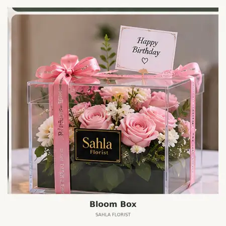 Bloom Box Bima